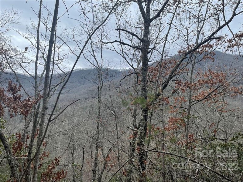 Property image 3 at 00 Brushy Fork Road, Sylva, NC 28779
