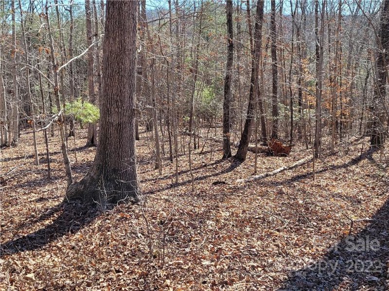 Property image 2 at 0 Aberdeen Farm Drive, Rutherfordton, NC 28139