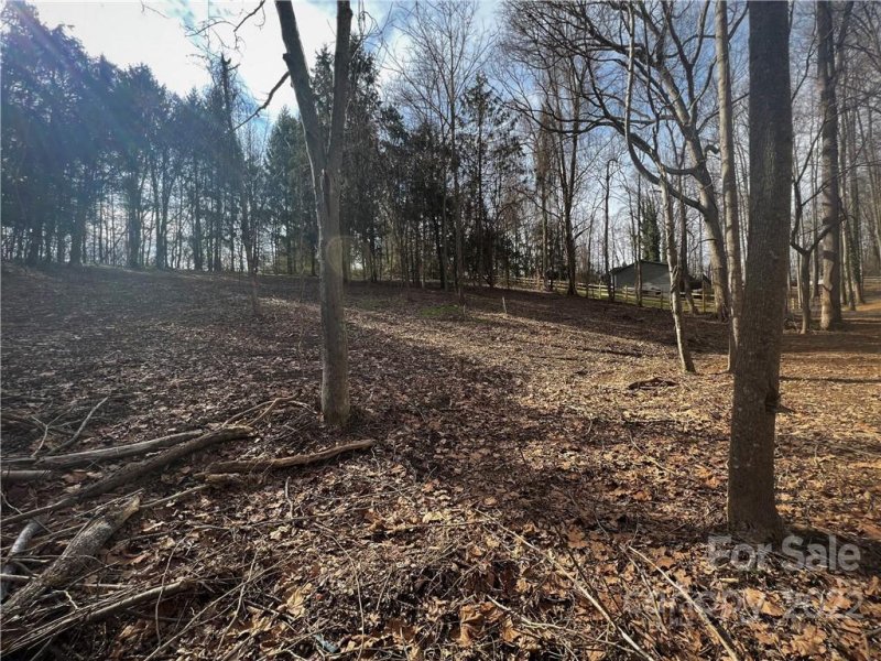 Property image 2 at 16 Cambridge Drive, Candler, NC 28715