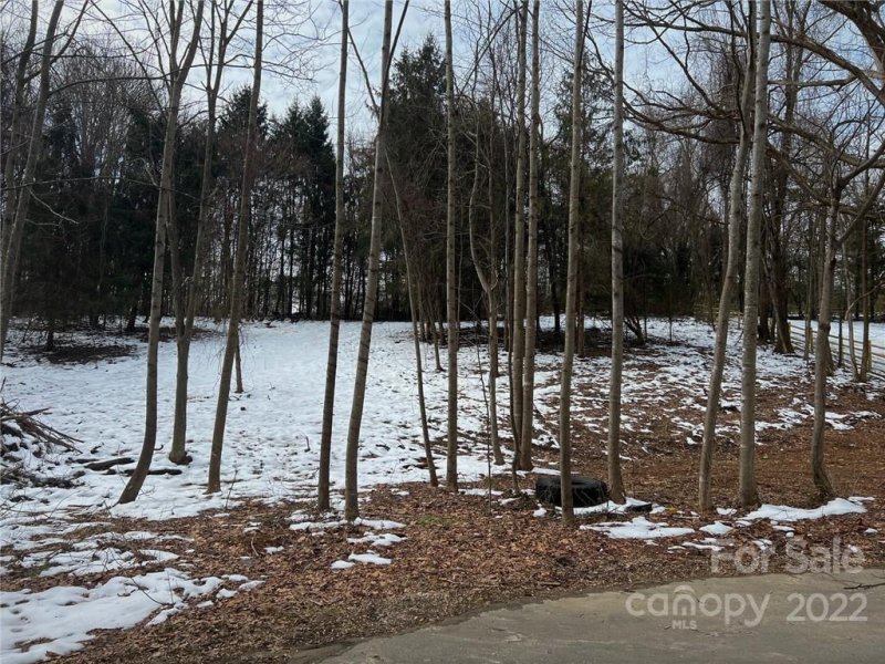 Property image 3 at 16 Cambridge Drive, Candler, NC 28715