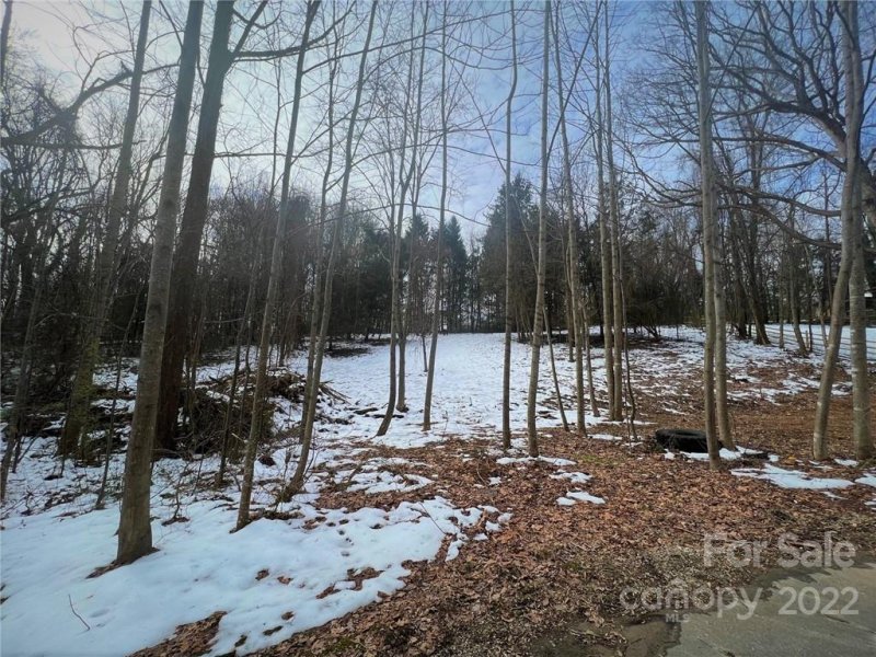 Property image 4 at 16 Cambridge Drive, Candler, NC 28715