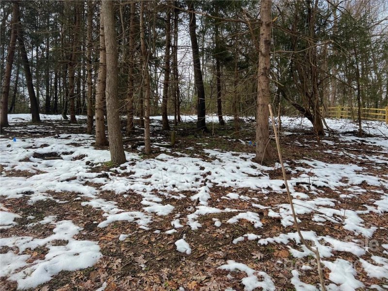 Property image 5 at 16 Cambridge Drive, Candler, NC 28715