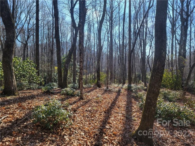 Property image 3 at 83 Waterstone Drive, Hendersonville, NC 28792