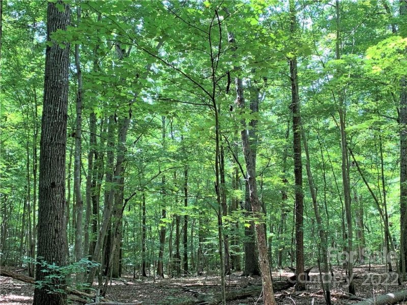 Property image 4 at 0 Nablus Road, Waxhaw, NC 28173