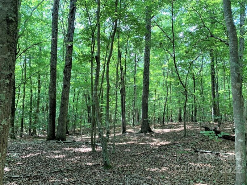 Property image 5 at 0 Nablus Road, Waxhaw, NC 28173