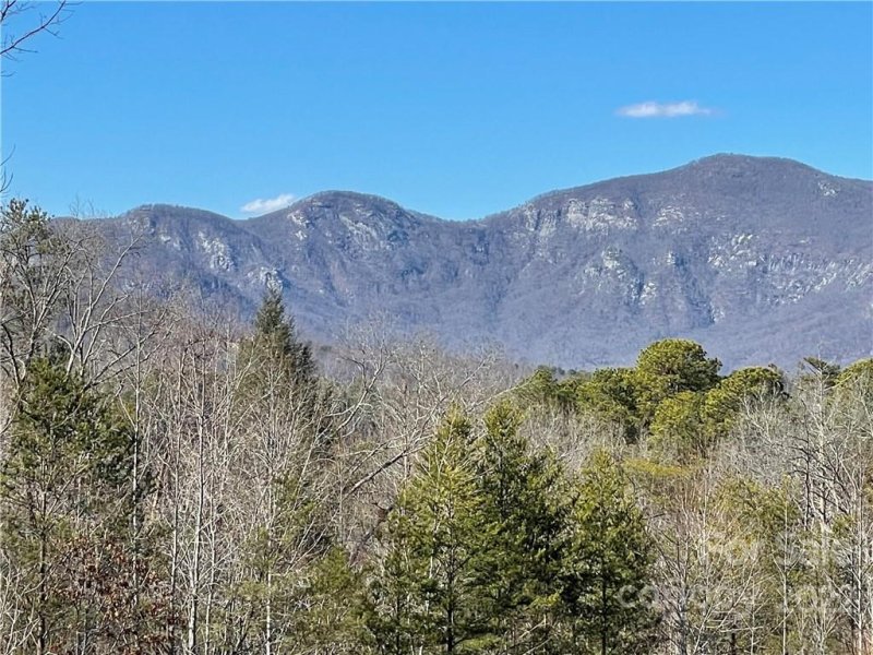 Property image 3 at 374 Peaks Drive, Lake Lure, NC 28746
