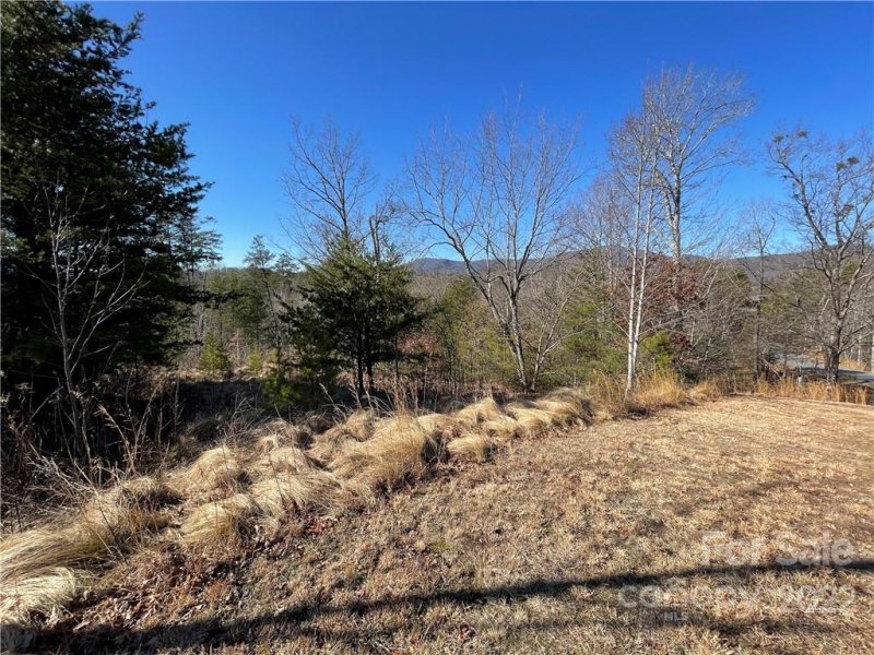 Property image 5 at 374 Peaks Drive, Lake Lure, NC 28746