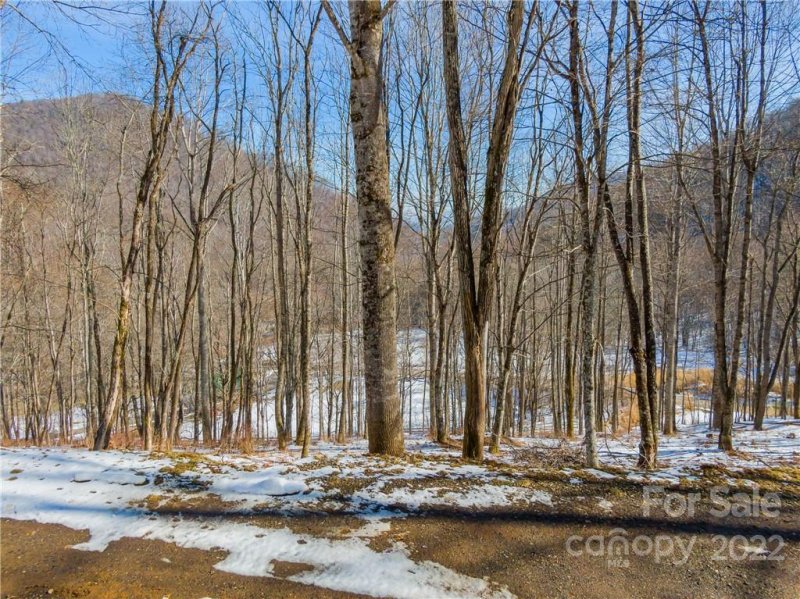 Property image 2 at Lot 13 Hadleigh Pearl Way, Mars Hill, NC 28754