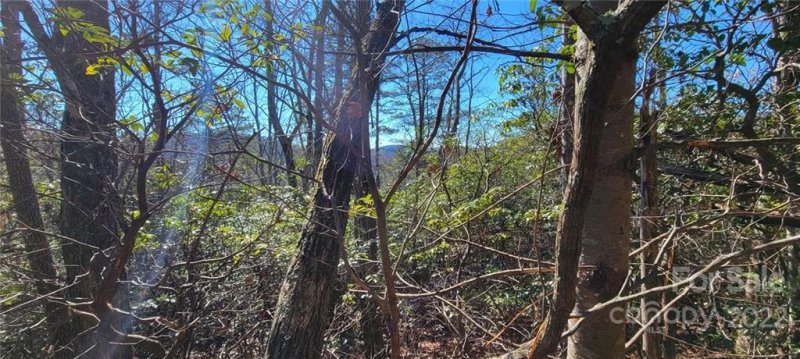 Property image 2 at Tbd Happy Acres Road, Brevard, NC 28712