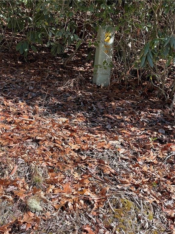 Property image 4 at Tbd Happy Acres Road, Brevard, NC 28712