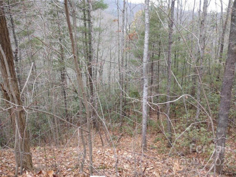 Property image 3 at 00 Rainbow Falls Trail, Black Mountain, NC 28711