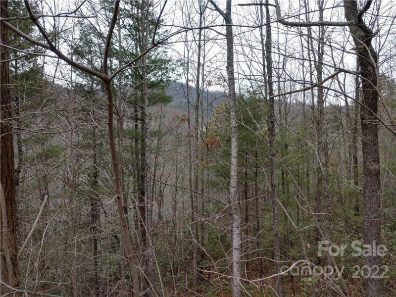 Property image 4 at 00 Rainbow Falls Trail, Black Mountain, NC 28711