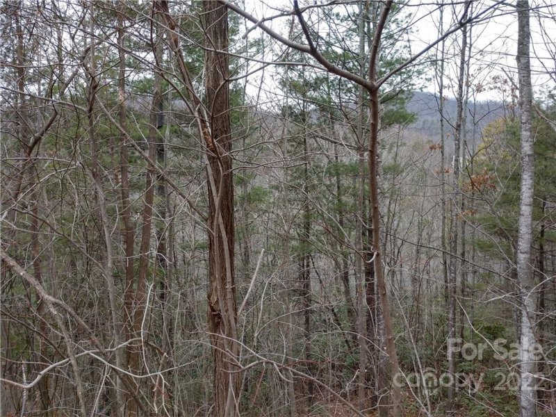 Property image 5 at 00 Rainbow Falls Trail, Black Mountain, NC 28711