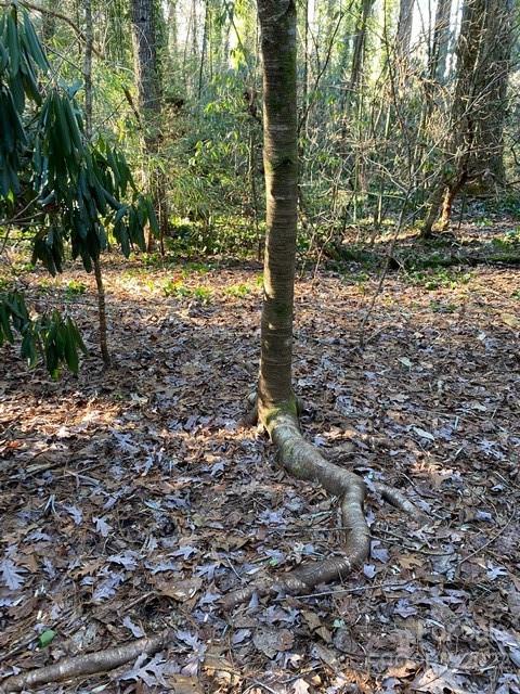 Property image 3 at Lot 72 Mary Place, Flat Rock, NC 28731