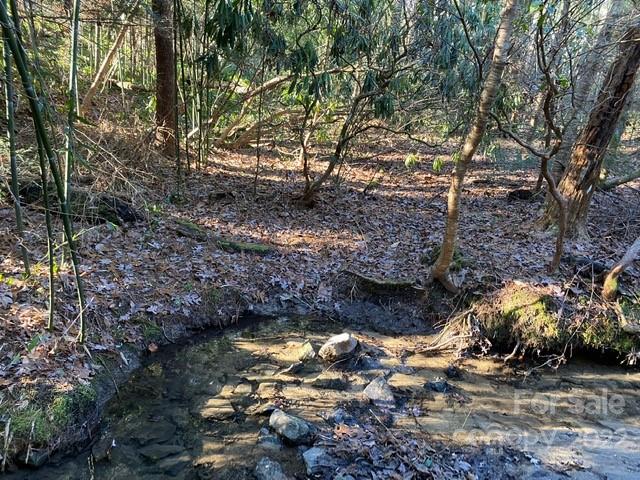 Property image 4 at Lot 72 Mary Place, Flat Rock, NC 28731