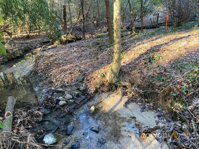 Property image 5 at Lot 72 Mary Place, Flat Rock, NC 28731