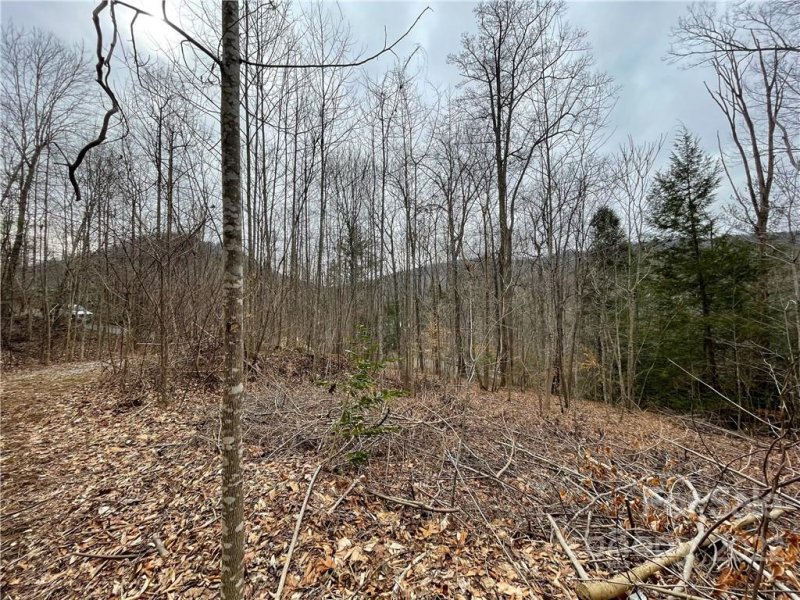 Property image 2 at 00000 Blue Rock Road, Hendersonville, NC 28792