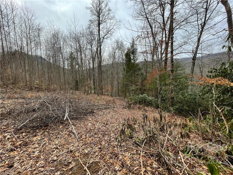 Property image 3 at 00000 Blue Rock Road, Hendersonville, NC 28792