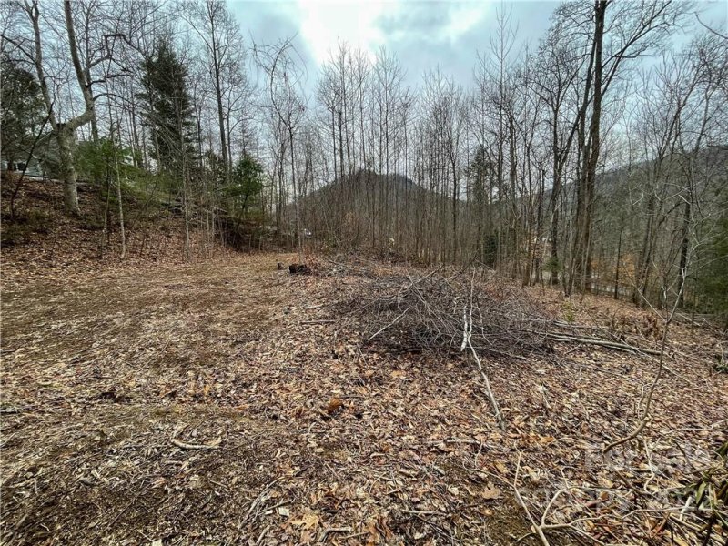 Property image 4 at 00000 Blue Rock Road, Hendersonville, NC 28792