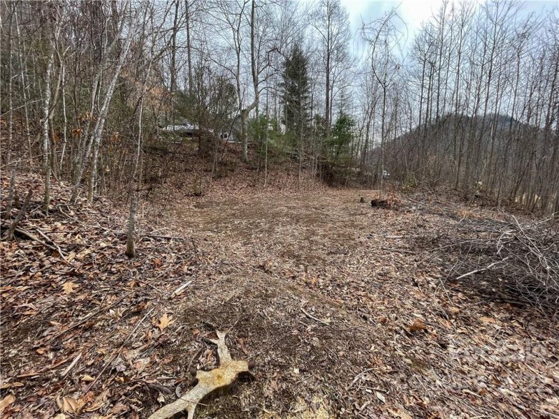 Property image 5 at 00000 Blue Rock Road, Hendersonville, NC 28792