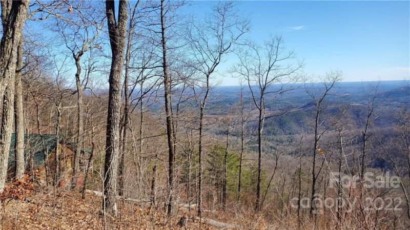 Property image 3 at 373 Hickory Nut Lane, Lake Lure, NC 28746