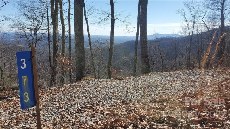 Property image 4 at 373 Hickory Nut Lane, Lake Lure, NC 28746