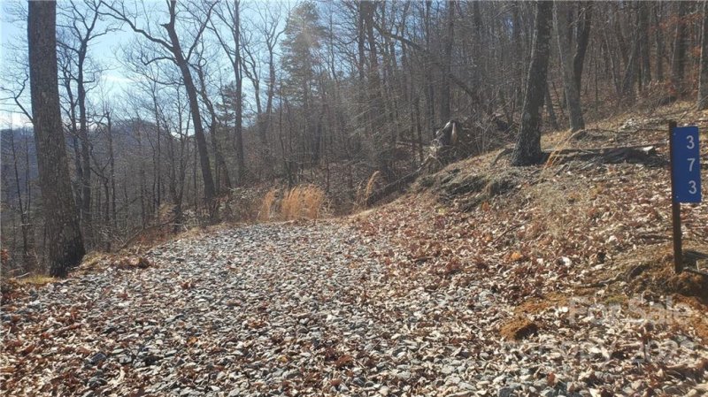 Property image 5 at 373 Hickory Nut Lane, Lake Lure, NC 28746