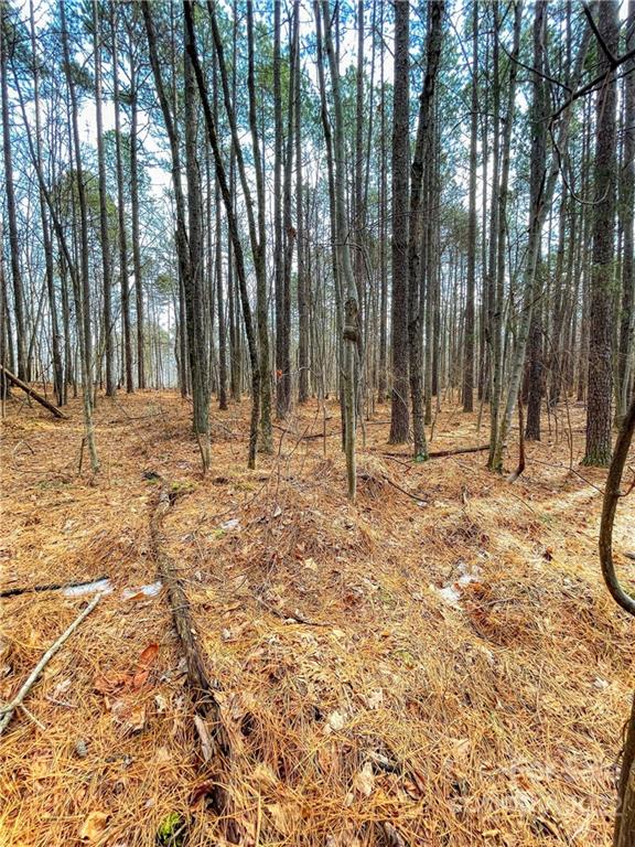 Property image 4 at 500 Cove Wood Drive, Denton, NC 27239