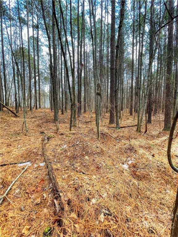 Property image 5 at 500 Cove Wood Drive, Denton, NC 27239