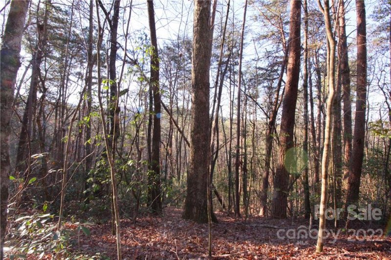 Property image 3 at Lot 49 Round Mountain Road, Brevard, NC 28712