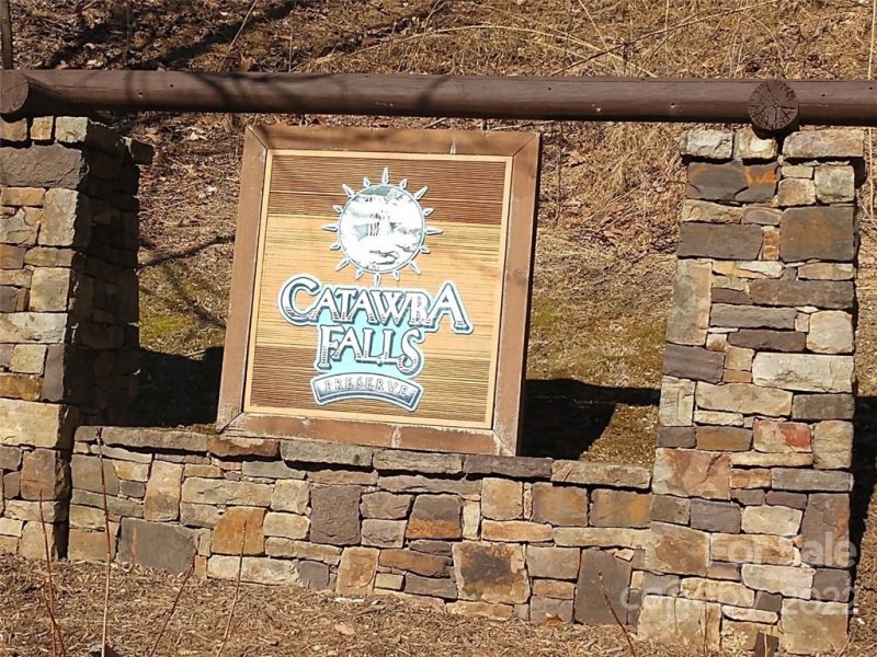 Property image 3 at 00 Catawba Falls Parkway, Black Mountain, NC 28711