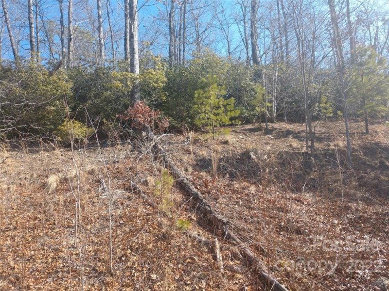 Property image 5 at 00 Catawba Falls Parkway, Black Mountain, NC 28711