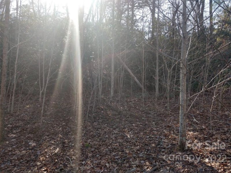 Property image 4 at 00 Sydney Falls Trail, Black Mountain, NC 28711