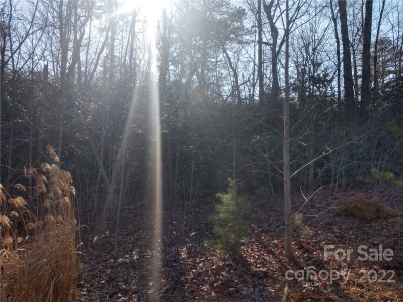 Property image 5 at 00 Sydney Falls Trail, Black Mountain, NC 28711