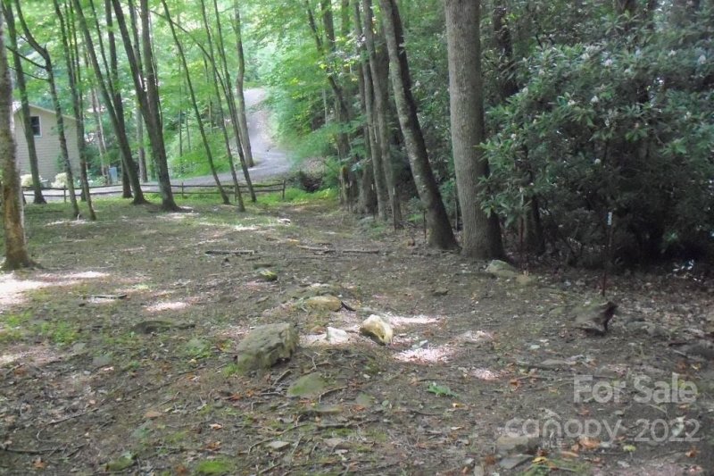 Property image 3 at Lot 2 Brannon Forest Drive, Waynesville, NC 28785