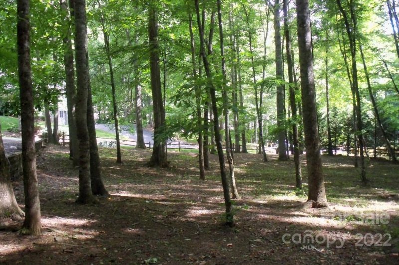 Property image 4 at Lot 2 Brannon Forest Drive, Waynesville, NC 28785