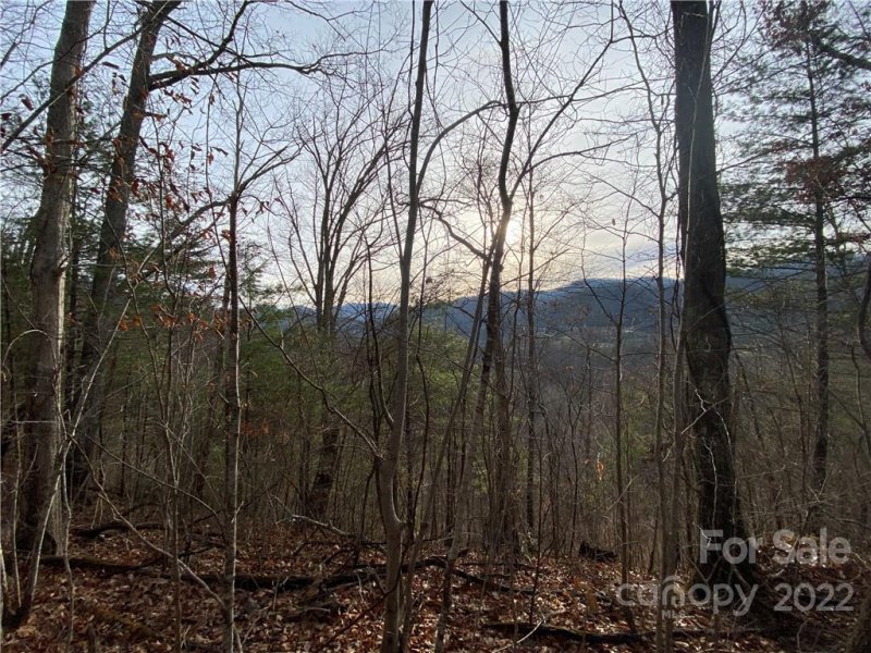 Property image 4 at 631 Sunnyside Drive, Marshall, NC 28753