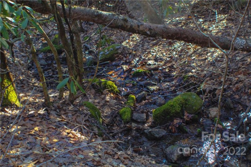 Property image 2 at 70 Mountain Magnolia Drive, Leicester, NC 28759