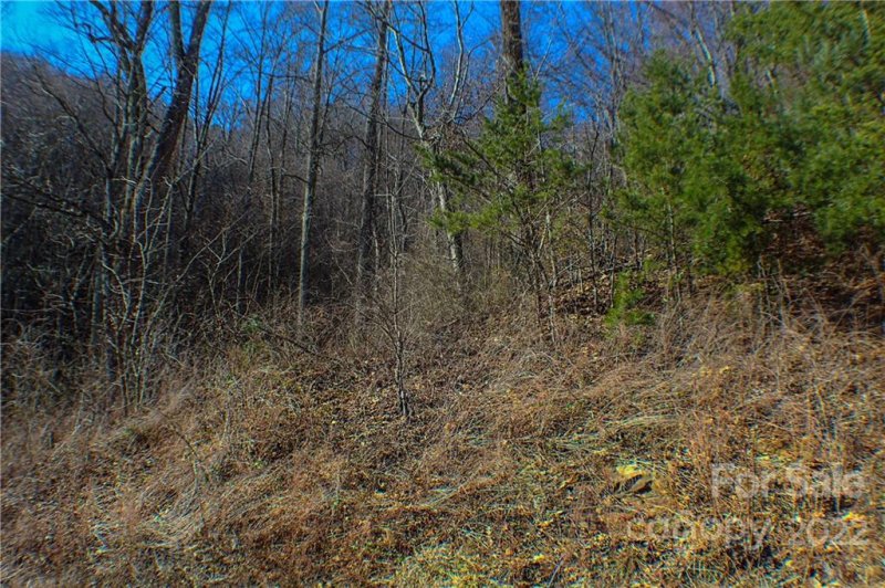 Property image 3 at 70 Mountain Magnolia Drive, Leicester, NC 28759