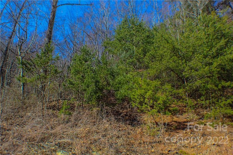 Property image 4 at 70 Mountain Magnolia Drive, Leicester, NC 28759