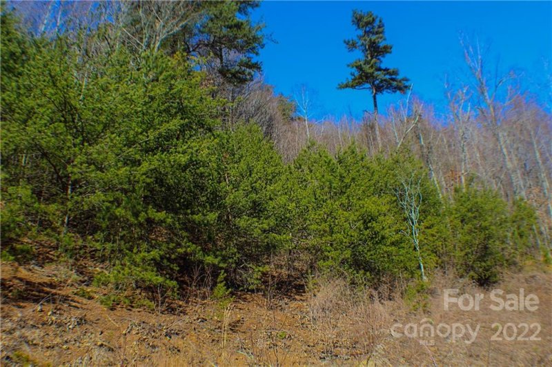 Property image 5 at 70 Mountain Magnolia Drive, Leicester, NC 28759