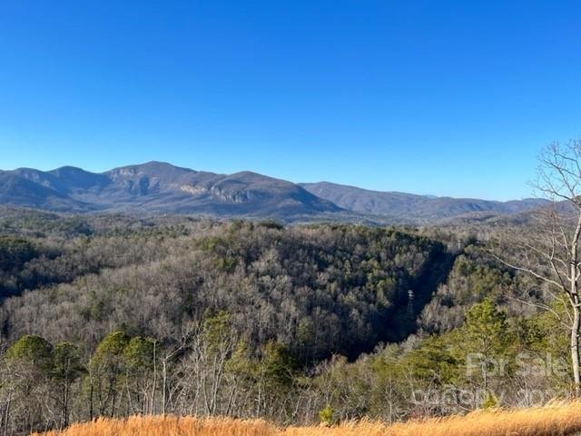 Property image 2 at 0000 Boulder Ridge, Lake Lure, NC 28746