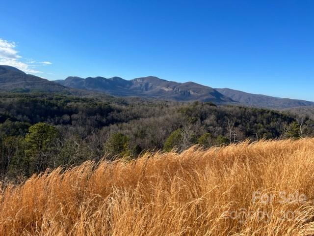 Property image 3 at 0000 Boulder Ridge, Lake Lure, NC 28746
