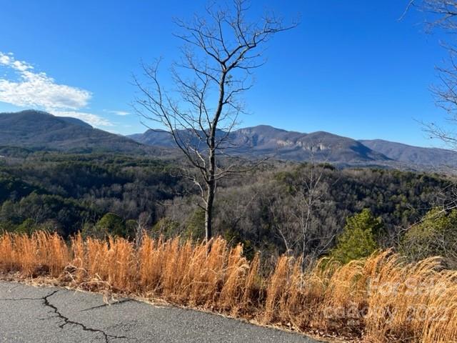 Property image 4 at 0000 Boulder Ridge, Lake Lure, NC 28746