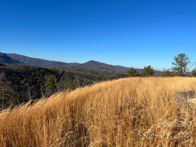 Property image 5 at 0000 Boulder Ridge, Lake Lure, NC 28746