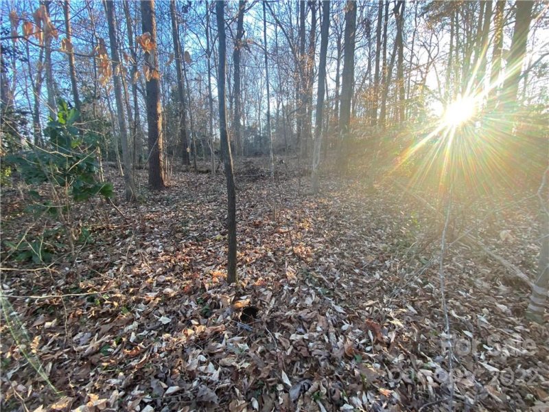 Property image 4 at 8325 Tuckalake Road, Charlotte, NC 28215