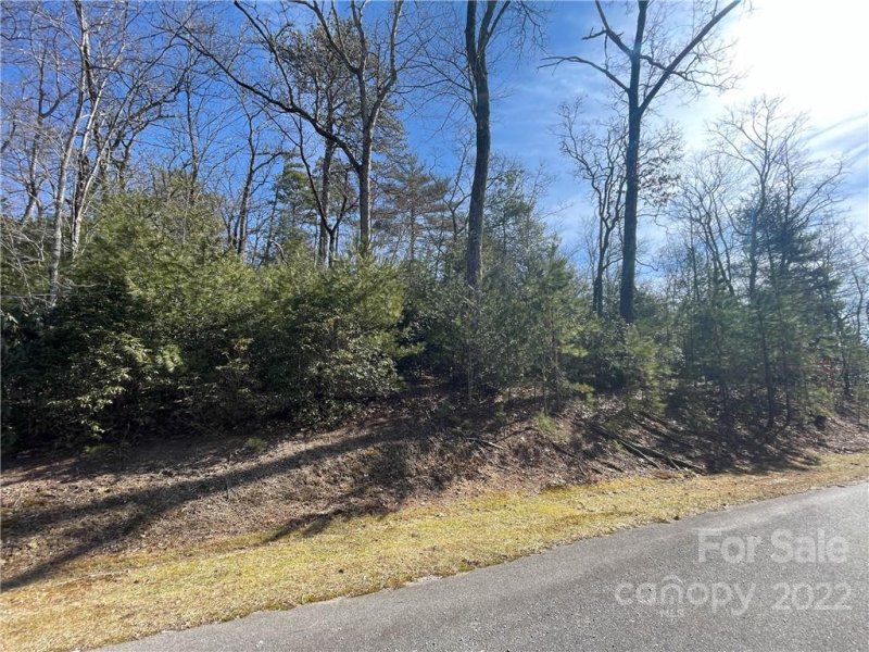 Property image 2 at Sh8 Springhouse Trail, Brevard, NC 28712