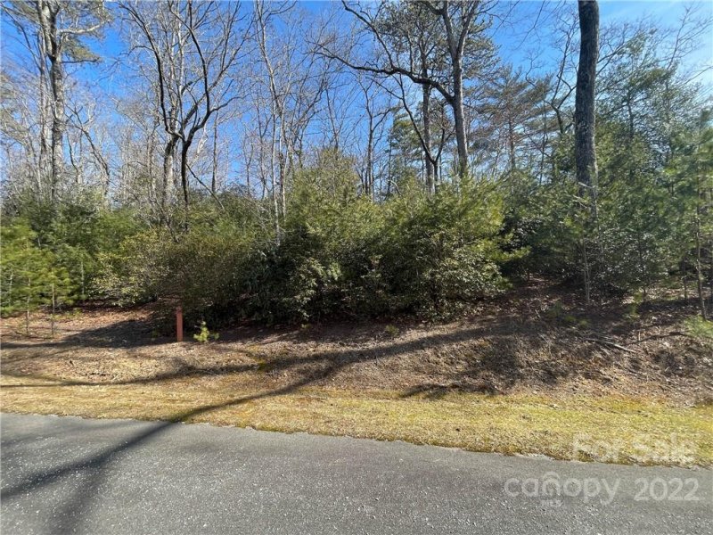 Property image 3 at Sh8 Springhouse Trail, Brevard, NC 28712