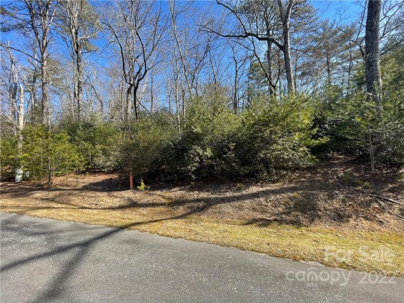 Property image 4 at Sh8 Springhouse Trail, Brevard, NC 28712