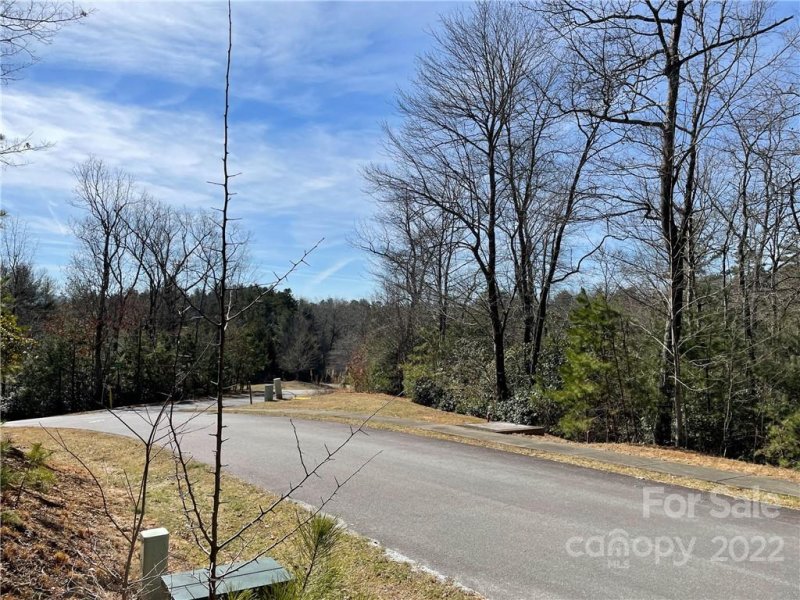 Property image 5 at Sh8 Springhouse Trail, Brevard, NC 28712